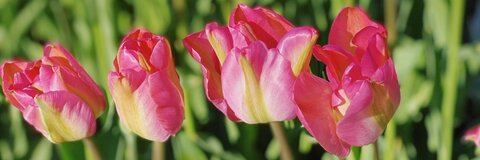 Снимка на заглавие на OnlyFans flatlacroix