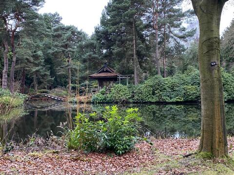 Снимка на заглавие на OnlyFans forest_green91