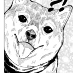 Профилна снимка в OnlyFans за foreverwandering