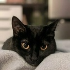 OnlyFansのプロフィール写真fraidyray