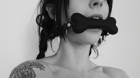 OnlyFans हेडर तस्वीर frankiebunny