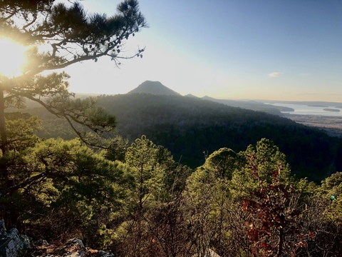 OnlyFans header picture frute_brute