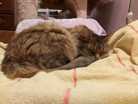 Снимка на заглавие на OnlyFans galaximoss