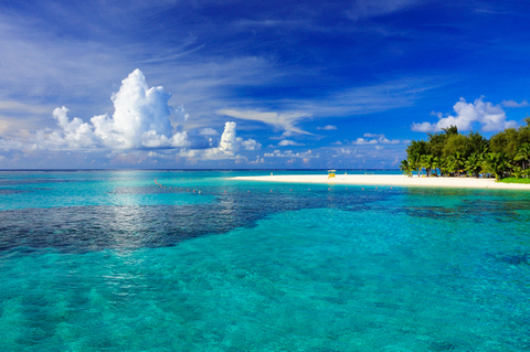 صورة رأس OnlyFans gaytonton