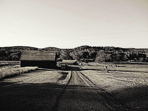 OnlyFans Titelbild gemwiththecurves