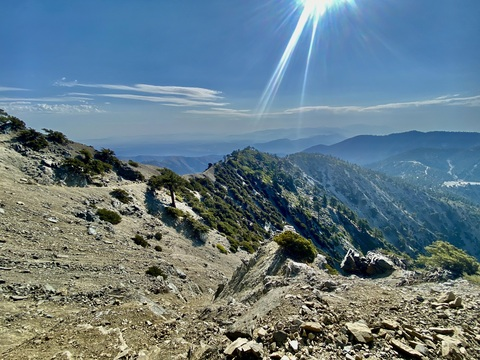 Снимка на заглавие на OnlyFans godsharkxxx