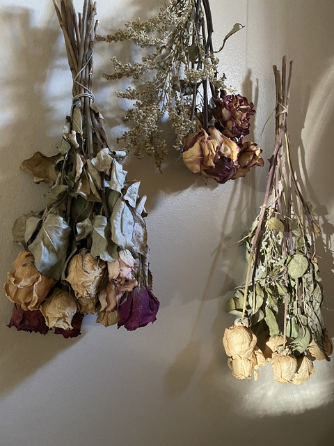 OnlyFans हेडर तस्वीर gothprincess00