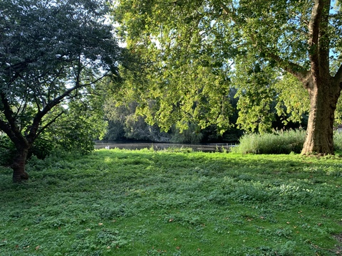 صورة رأس OnlyFans griffinbarrows