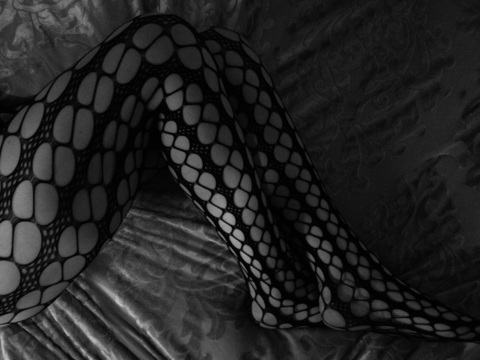 Снимка на заглавие на OnlyFans haley-flash