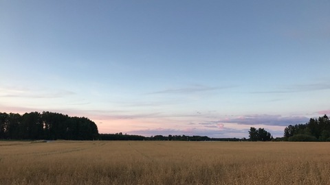 Immagine di copertina OnlyFans hanna_panda