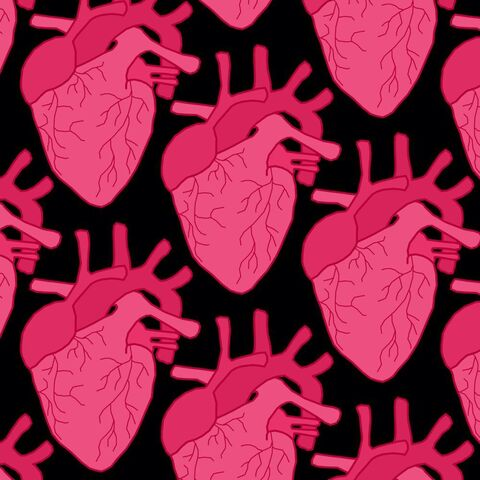 OnlyFans हेडर तस्वीर heartbeatbabe92