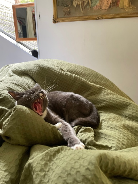 صورة رأس OnlyFans heavenlytreasure2