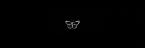 OnlyFans kopafbeelding hertaylor