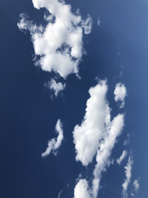 Снимка на заглавие на OnlyFans hg1414