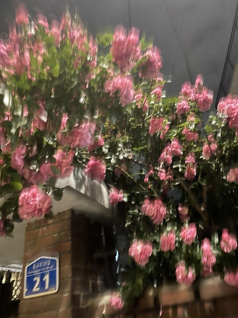 Изображение шапки OnlyFans hhh1231