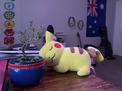 Imagen de encabezado de OnlyFans de hi_im_kip