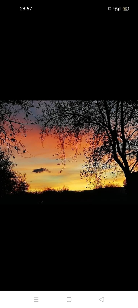 OnlyFans kopafbeelding hippitekk