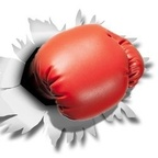 Профилна снимка в OnlyFans за hkboxing2018