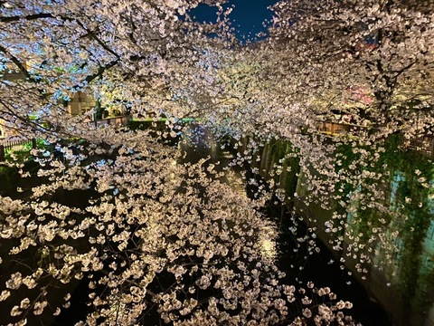 OnlyFansヘッダー写真 hktegg3