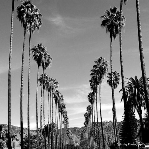 OnlyFans Titelbild holewrecker69