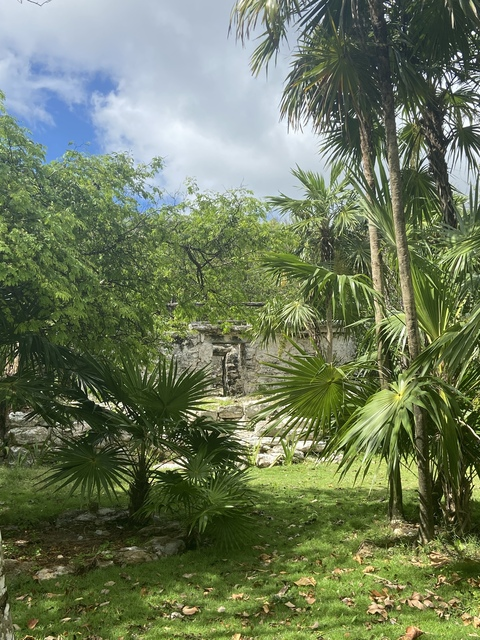 OnlyFans kopafbeelding homemadevideosxx