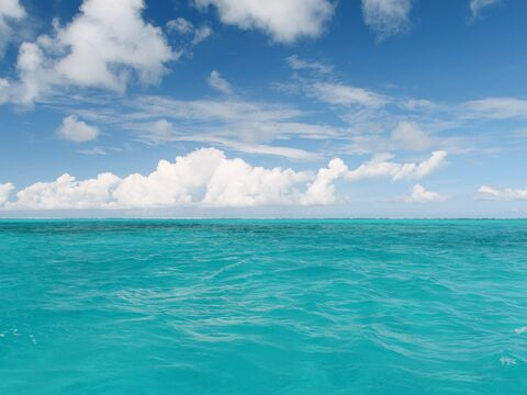 Image d'en-tête OnlyFans howipaymyrent