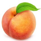 Immagine del profilo OnlyFans di hugefatbum