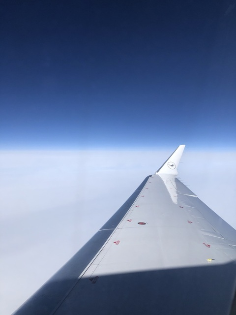 OnlyFans Titelbild hung-horny-swede