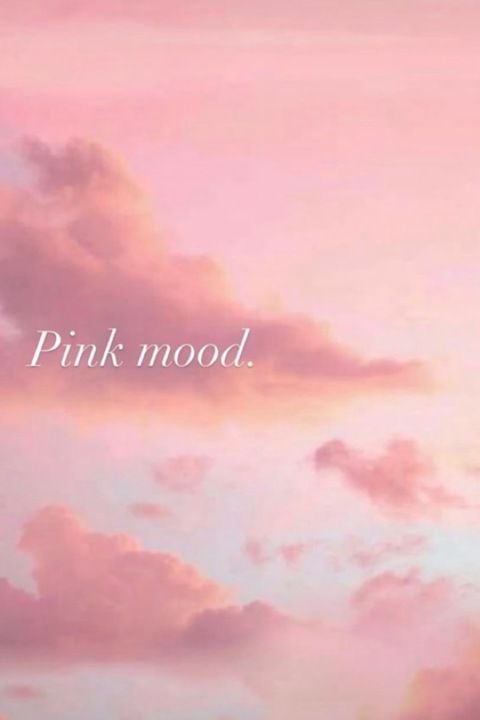 Immagine di copertina OnlyFans idfwulilstoopidassbitch