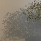 OnlyFans profil resmi ienfelloryy