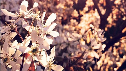 Imagem de cabeçalho do OnlyFans iitskissa