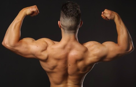 OnlyFans Titelbild imperialmusclefree