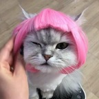 Immagine del profilo OnlyFans di imqueenlia