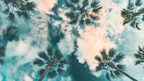 Изображение шапки OnlyFans inkrbs