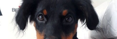 Image d'en-tête OnlyFans isadora