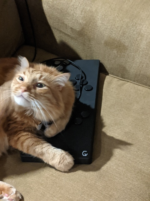 OnlyFans हेडर तस्वीर italiabutnsfw