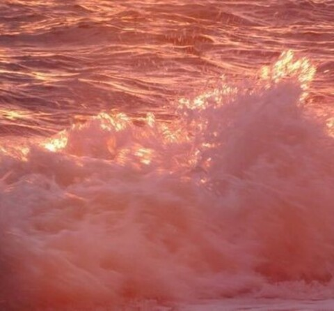 Снимка на заглавие на OnlyFans itsivylebelle