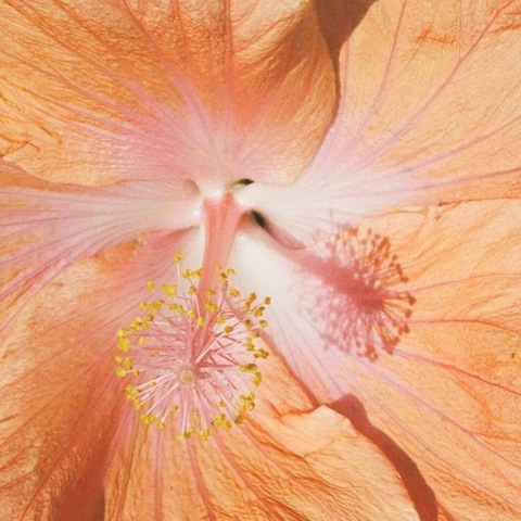 Imagem de cabeçalho do OnlyFans jadecardenascc