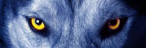 OnlyFans हेडर तस्वीर jaimex_rks