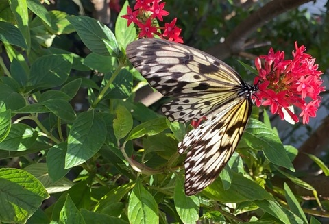 Imagem de cabeçalho do OnlyFans jamelizzzz