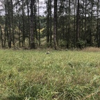 Foto profil OnlyFans janesocks7