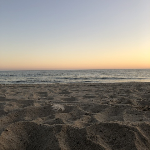 OnlyFans 헤더 사진 jarredzoldyck