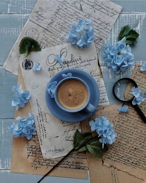 OnlyFans üst resmi jasminekny