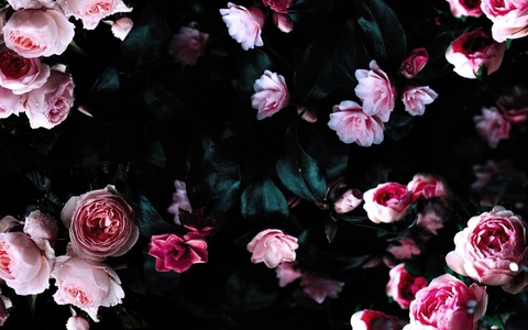 OnlyFans हेडर तस्वीर jasminelovve