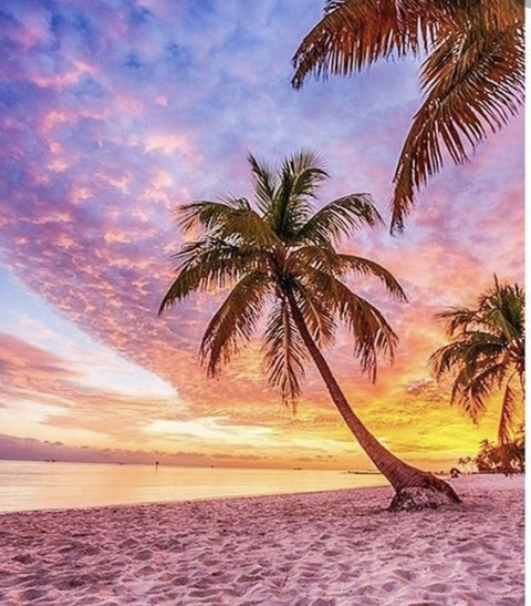 Gambar header OnlyFans jeaniejem