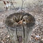 Foto de perfil de OnlyFans de jege2