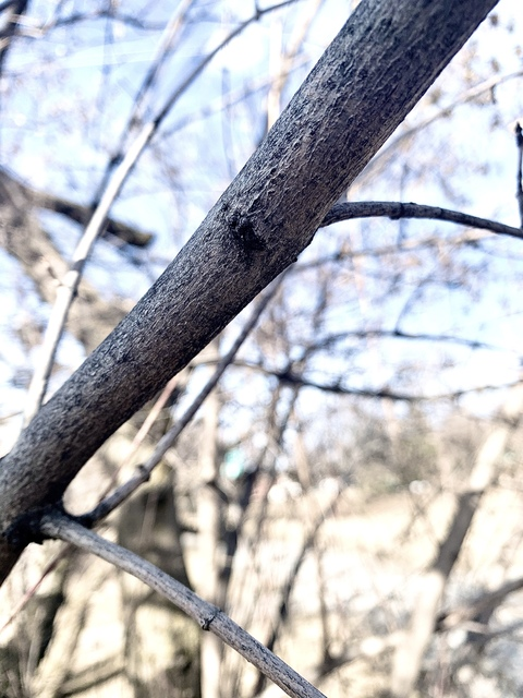 OnlyFansヘッダー写真 jege2