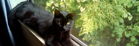 Снимка на заглавие на OnlyFans jesskitti