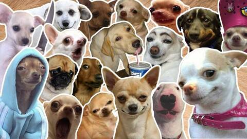 Gambar header OnlyFans jesuck