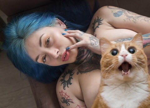 OnlyFans हेडर तस्वीर johabelle